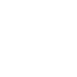 Cerebro Console